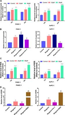 Wogonin induces ferroptosis in pancreatic cancer cells by inhibiting the Nrf2/GPX4 axis